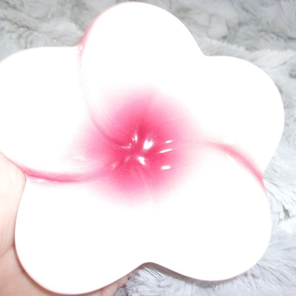 COPY - H-30 TROPICAL CLAY HAWAII PLUMERA CERAMIC TRINKET BOWL - Picture 7 of 8